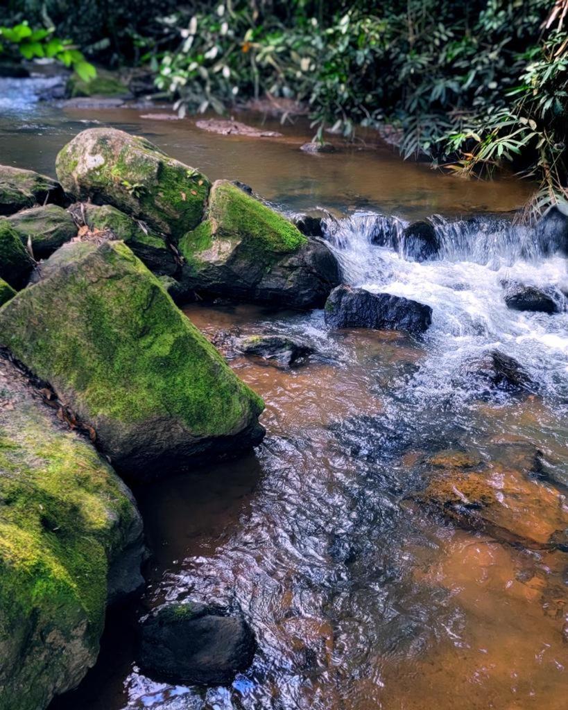 Pousada Sitio Das Pedras Domingos Martins Exterior photo
